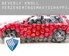 Beverly Knoll  verzekeringsmaatschappij