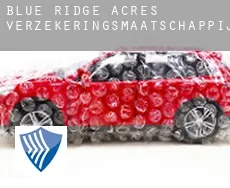 Blue Ridge Acres  verzekeringsmaatschappij