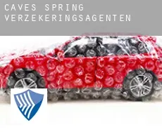 Caves Spring  verzekeringsagenten