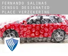 Fernando Salinas  verzekering