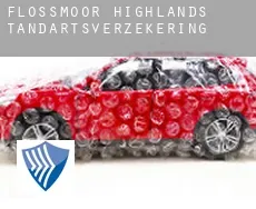 Flossmoor Highlands  tandartsverzekering