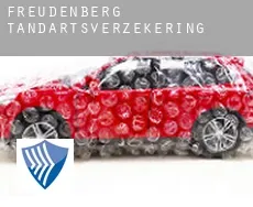 Freudenberg  tandartsverzekering