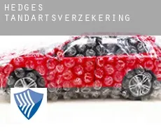 Hedges  tandartsverzekering