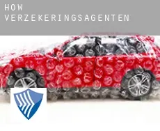 How  verzekeringsagenten
