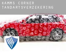 Kamms Corner  tandartsverzekering