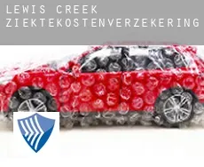 Lewis Creek  ziektekostenverzekering