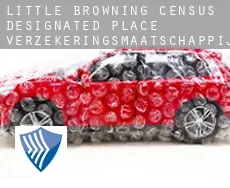 Little Browning  verzekeringsmaatschappij