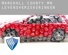 Marshall County levensverzekeringen