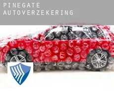 Pinegate  autoverzekering