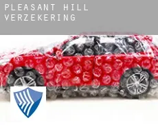 Pleasant Hill  verzekering