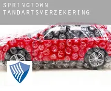 Springtown  tandartsverzekering