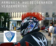 Armungia  huiseigenaren verzekering