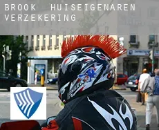 Brook  huiseigenaren verzekering