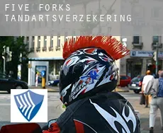 Five Forks  tandartsverzekering