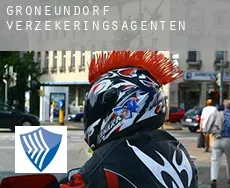 Großneundorf  verzekeringsagenten