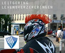 Leitgering  levensverzekeringen