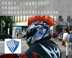 Okres Jindrichuv Hradec  tandartsverzekering