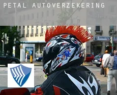 Petal  autoverzekering