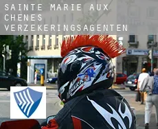 Sainte-Marie-aux-Chênes verzekeringsagenten