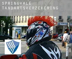 Springvale tandartsverzekering