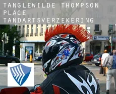 Tanglewilde-Thompson Place  tandartsverzekering