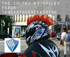 The Colony at Valley Forge  tandartsverzekering