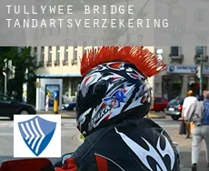 Tullywee Bridge  tandartsverzekering