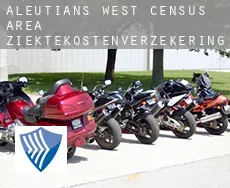 Aleutians West Census Area  ziektekostenverzekering
