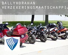 Ballyhorahan  verzekeringsmaatschappij