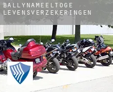 Ballynameeltoge  levensverzekeringen