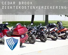 Cedar Brook  ziektekostenverzekering