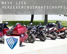 Mays Lick  verzekeringsmaatschappij