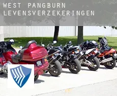 West Pangburn  levensverzekeringen