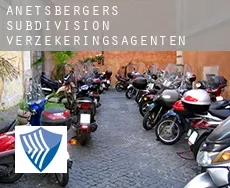 Anetsberger's Subdivision  verzekeringsagenten