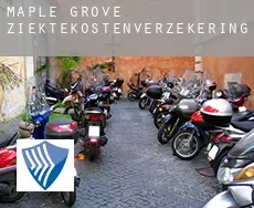 Maple Grove  ziektekostenverzekering