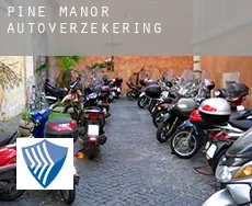 Pine Manor  autoverzekering