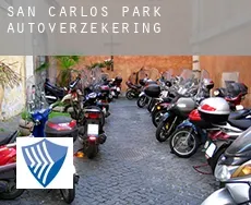 San Carlos Park  autoverzekering