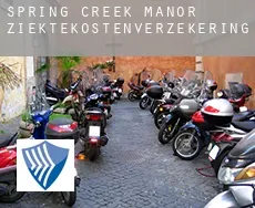 Spring Creek Manor  ziektekostenverzekering