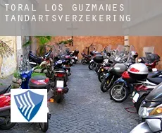 Toral de los Guzmanes  tandartsverzekering