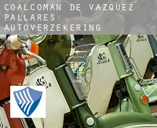 Coalcoman de Vazquez Pallares  autoverzekering