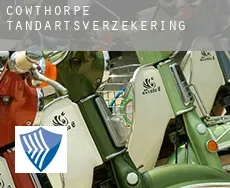 Cowthorpe  tandartsverzekering