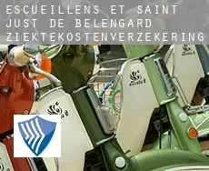 Escueillens-et-Saint-Just-de-Bélengard  ziektekostenverzekering