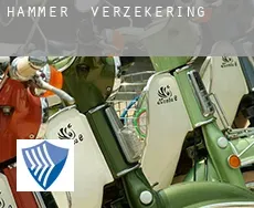 Hammer  verzekering