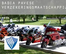 Badia Pavese  verzekeringsmaatschappij