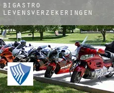 Bigastro  levensverzekeringen