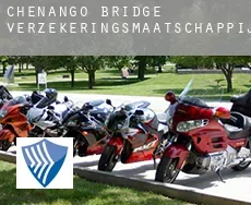 Chenango Bridge  verzekeringsmaatschappij