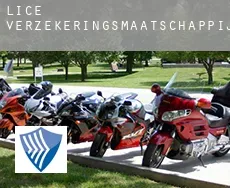 Lice  verzekeringsmaatschappij