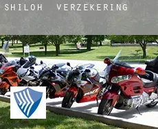 Shiloh  verzekering