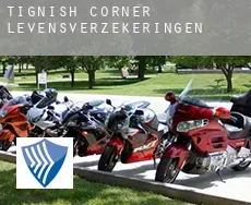Tignish Corner  levensverzekeringen
