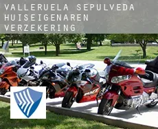 Valleruela de Sepúlveda  huiseigenaren verzekering